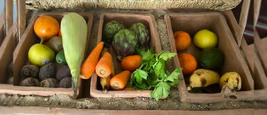 Diseñan prototipo de refrigeradora artesanal que funciona sin electricidad Diseñan prototipo de refrigeradora artesanal que funciona sin electricidad