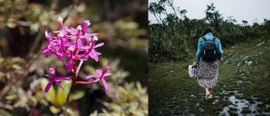 Bosque Shollet: el edén natural escondido en Pasco ya recibe a visitantes Bosque Shollet: el edén natural escondido en Pasco ya recibe a visitantes