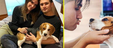 Deyvis Orosco: Cassandra conmueve al mostrar la habilidad de su perro tras sus clases Deyvis Orosco: Cassandra conmueve al mostrar la habilidad de su perro tras sus clases