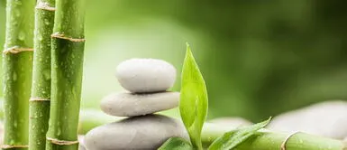 Por estas 4 razones el bambú es ideal para cuidar el cabello Por estas 4 razones el bambú es ideal para cuidar el cabello