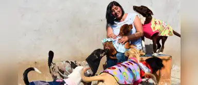 Mujer pide ayuda para mantener su albergue de animales: "No me gusta dormirlos" Mujer pide ayuda para mantener su albergue de animales: "No me gusta dormirlos"