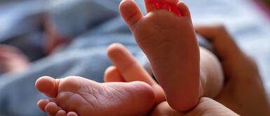 Crearán una placenta artificial para salvar la vida de los bebés prematuros Crearán una placenta artificial para salvar la vida de los bebés prematuros