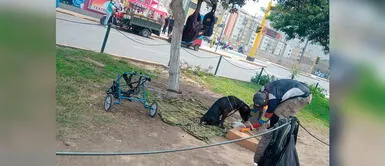 Joven venezolano ayuda y alimenta a perrito en silla de ruedas en el Rímac Joven venezolano ayuda y alimenta a perrito en silla de ruedas en el Rímac