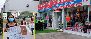 Surco: Clausuran veterinaria donde falleció una perrita Surco: Clausuran veterinaria donde falleció una perrita