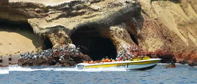 ¡Paracas celebra! Paseos turísticos a las islas Ballestas se reanudan ¡Paracas celebra! Paseos turísticos a las islas Ballestas se reanudan