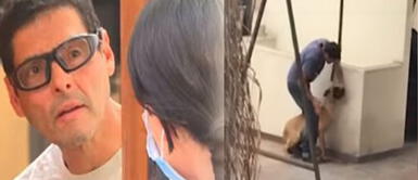 Surco: Captan a hombre cuando maltrataba a su mascota dentro de su casa Surco: Captan a hombre cuando maltrataba a su mascota dentro de su casa