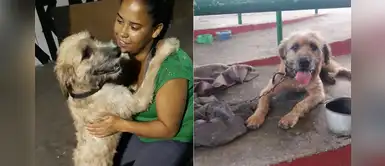 Brasil: Mujer decidió vivir en la calle junto a sus perros tras ser desalojada Brasil: Mujer decidió vivir en la calle junto a sus perros tras ser desalojada