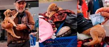 Hombre indigente pide a veterinarios que auxilien a su perrita que no quería comer Hombre indigente pide a veterinarios que auxilien a su perrita que no quería comer