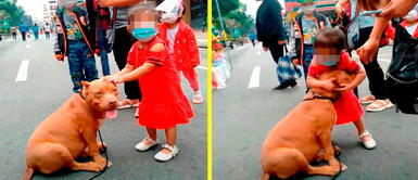 Niña conmueve al abrazar a un perro de la calle con ternura Niña conmueve al abrazar a un perro de la calle con ternura
