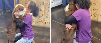 Joven tiene emotivo reencuentro con su perrita que estuvo días perdida Joven tiene emotivo reencuentro con su perrita que estuvo días perdida