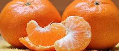 10 bondades de la mandarina que te harán incluirla en tu dieta alimentaria 10 bondades de la mandarina que te harán incluirla en tu dieta alimentaria