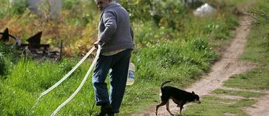 José Mujica quiere que lo entierren junto a los restos de su perrita Manuela José Mujica quiere que lo entierren junto a los restos de su perrita Manuela