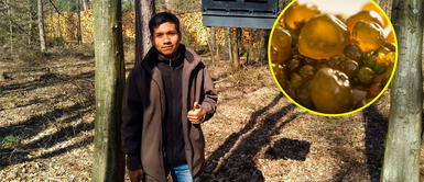 Ayacucho: Estudiante de Biología investiga algas andinas para luchar contra la anemia Ayacucho: Estudiante de Biología investiga algas andinas para luchar contra la anemia