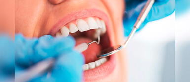 ¿Cómo mantener una boca sana durante todo el año? Odontólogo explica ¿Cómo mantener una boca sana durante todo el año? Odontólogo explica