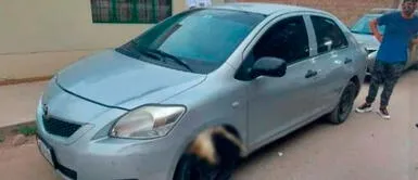 Sujeto atropelló a perrito y comisaría en Chorrillos no admitió denuncia por maltrato animal Sujeto atropelló a perrito y comisaría en Chorrillos no admitió denuncia por maltrato animal