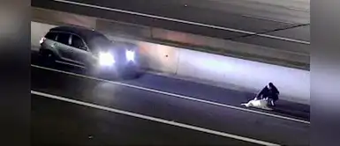 Mujer detiene su auto en medio de la carretera para rescatar a un perrito Mujer detiene su auto en medio de la carretera para rescatar a un perrito