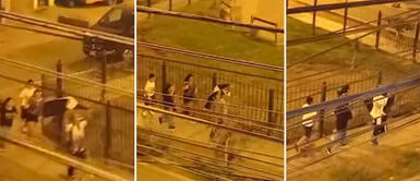 La curiosa cábala de fanáticos de Alianza Lima para esta temporada La curiosa cábala de fanáticos de Alianza Lima para esta temporada