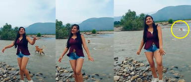 Perro fue arrastrado por fuerte caudal del río mientras su dueña grababa video de TikTok Perro fue arrastrado por fuerte caudal del río mientras su dueña grababa video de TikTok