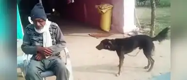 Padre de familia hereda todos sus bienes a su perrito tras decepción de sus hijos Padre de familia hereda todos sus bienes a su perrito tras decepción de sus hijos