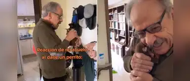 Anciano tiene emotiva reacción cuando recibe un perrito como regalo Anciano tiene emotiva reacción cuando recibe un perrito como regalo