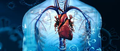 El coronavirus daña el corazón, incluso en pacientes jóvenes con síntomas leves El coronavirus daña el corazón, incluso en pacientes jóvenes con síntomas leves