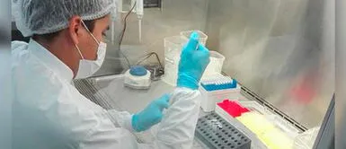 Vacuna peruana contra la COVID-19: Laboratorio en Chincha elaborará hasta 20 millones de dosis Vacuna peruana contra la COVID-19: Laboratorio en Chincha elaborará hasta 20 millones de dosis