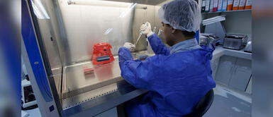 Científicos peruanos desarrollan kit para diagnosticar tuberculosis de manera rápida Científicos peruanos desarrollan kit para diagnosticar tuberculosis de manera rápida