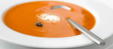 ¿Qué pasa realmente cuando una mosca se posa sobre tu comida? ¿Qué pasa realmente cuando una mosca se posa sobre tu comida?