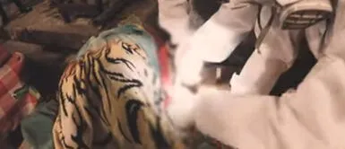 "Se sienten inmortales": No usan mascarillas ni respetan distanciamiento en Iquitos "Se sienten inmortales": No usan mascarillas ni respetan distanciamiento en Iquitos