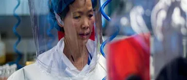 Desaparecen 300 estudios elaborados por viróloga de China que más sabe de la COVID-19 Desaparecen 300 estudios elaborados por viróloga de China que más sabe de la COVID-19