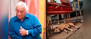 Perrito de Guillermo Campos acompañó a su difunto dueño durante todo el velorio Perrito de Guillermo Campos acompañó a su difunto dueño durante todo el velorio