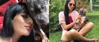 Viaja con su perro en avión, le obligan ponerlo en la bodega y este llega sin vida Viaja con su perro en avión, le obligan ponerlo en la bodega y este llega sin vida