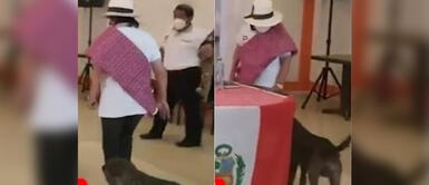 Candidata al Congreso del partido de George Forsyth patea a perro en local de campaña Candidata al Congreso del partido de George Forsyth patea a perro en local de campaña