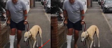 Perro imita cojera de su dueño y este gasta sus últimos 300 dólares de ahorros en exámenes Perro imita cojera de su dueño y este gasta sus últimos 300 dólares de ahorros en exámenes