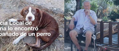 Perrita vagabunda protege a un anciano con Alzheimer que se había perdido Perrita vagabunda protege a un anciano con Alzheimer que se había perdido