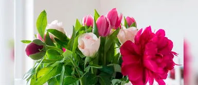 Segunda ola de COVID-19: ¿Cómo las flores ayudan a recargar nuestras emociones? Segunda ola de COVID-19: ¿Cómo las flores ayudan a recargar nuestras emociones?