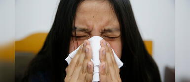 Jóvenes crean una aplicación que puede diagnosticar la COVID-19 mediante el análisis de la tos Jóvenes crean una aplicación que puede diagnosticar la COVID-19 mediante el análisis de la tos