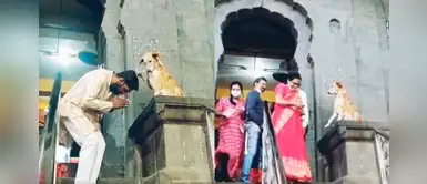 Perrito "bendice" con su patita a las personas que asisten a la iglesia Perrito "bendice" con su patita a las personas que asisten a la iglesia