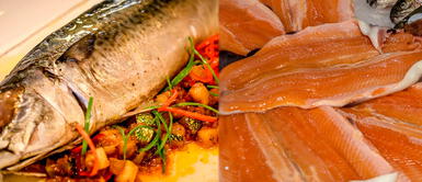 Pescados nutritivos de nuestra sierra y selva que fortalecen tu sistema inmune Pescados nutritivos de nuestra sierra y selva que fortalecen tu sistema inmune