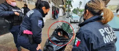 Mujer indigente y sus 6 perros pasan las frías noches en una bolsa de basura Mujer indigente y sus 6 perros pasan las frías noches en una bolsa de basura