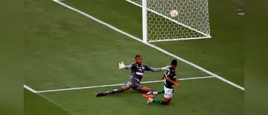 Palmeiras derrotó 1-0 a Santos y se consagró campeón de la Copa Libertadores 2020 Palmeiras derrotó 1-0 a Santos y se consagró campeón de la Copa Libertadores 2020