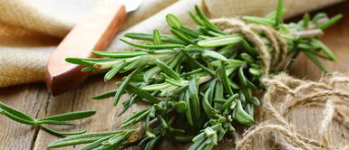 Ritual con romero y laurel para eliminar las malas energías Ritual con romero y laurel para eliminar las malas energías