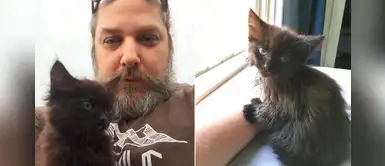 Hombre recibe inesperada visita de un gato callejero y decide adoptarlo Hombre recibe inesperada visita de un gato callejero y decide adoptarlo