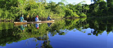 Pacaya Samiria: reserva nacional celebra hoy 39 años como gran paraíso amazónico Pacaya Samiria: reserva nacional celebra hoy 39 años como gran paraíso amazónico
