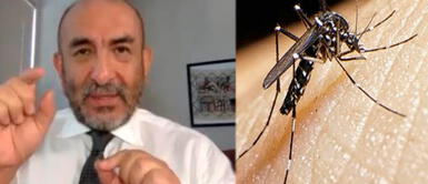 ¿El zancudo puede transmitir la COVID-19 luego de picar a un infectado? ¿El zancudo puede transmitir la COVID-19 luego de picar a un infectado?