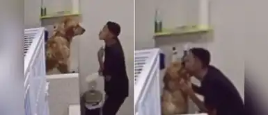 Cámara graba a trabajador bailando y besando a un perro antes de bañarlo Cámara graba a trabajador bailando y besando a un perro antes de bañarlo
