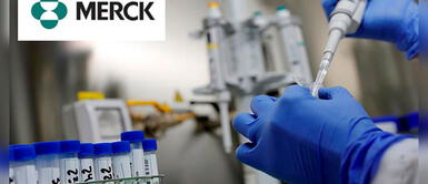 Principal fabricante de ivermectina revela si previene la COVID-19 Principal fabricante de ivermectina revela si previene la COVID-19