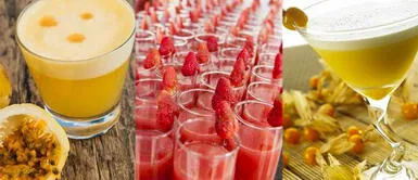 Día del Pisco Sour: tres maneras de preparar esta bebida, VIDEO Día del Pisco Sour: tres maneras de preparar esta bebida, VIDEO