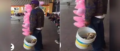 Adulto mayor trabaja vendiendo algodón de azúcar cargando a su perro adoptado Adulto mayor trabaja vendiendo algodón de azúcar cargando a su perro adoptado