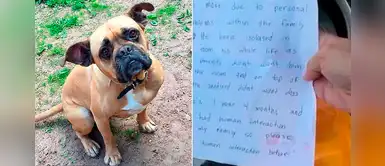 Pitbull es abandonado junto a una emotiva nota: "Es el perro más dulce que conocerás" Pitbull es abandonado junto a una emotiva nota: "Es el perro más dulce que conocerás"